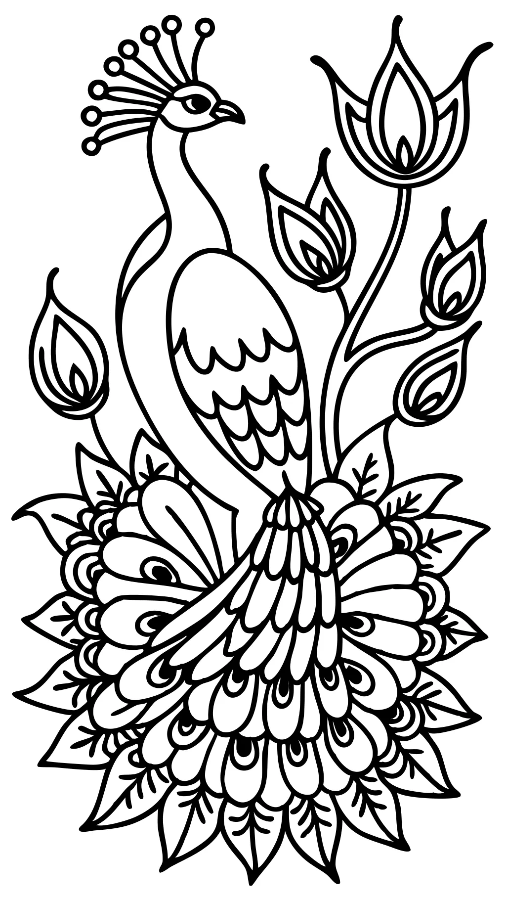 printable coloring pages of peacocks